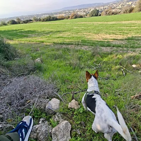 2 People Sea View Garden Pool Apartmán *